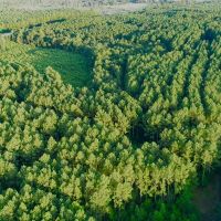 10 Acres T-14A Hickman Rd.