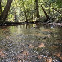 97 - Acres in Franklin Co. AL With Option to Subdivide