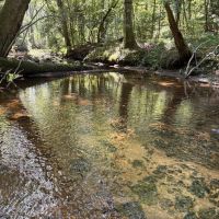 97 - Acres in Franklin Co. AL With Option to Subdivide images 5