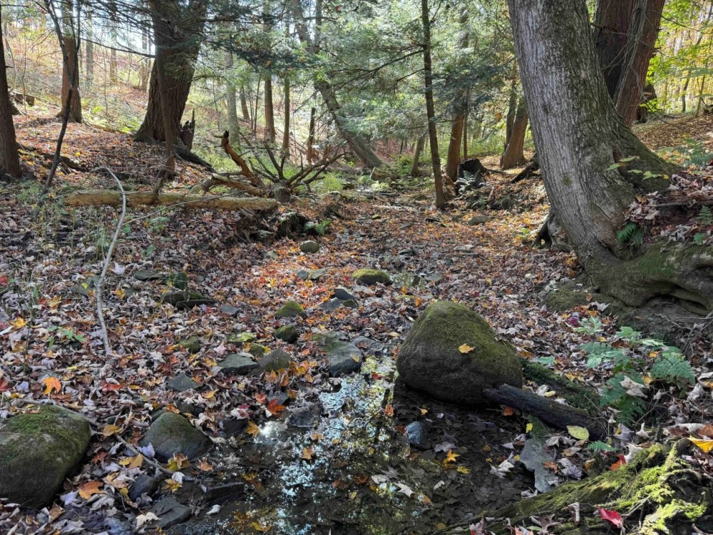14 acre Building Lot and Recreational Land with Creek in Falconer NY Sprague Hill Rd Lot 6 featured image