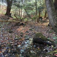 14 acre Building Lot and Recreational Land with Creek in Falconer NY Sprague Hill Rd Lot 6
