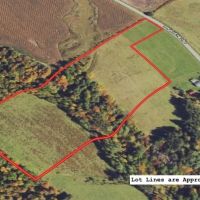 14 acre Building Lot and Recreational Land with Creek in Falconer NY Sprague Hill Rd Lot 6 images 3