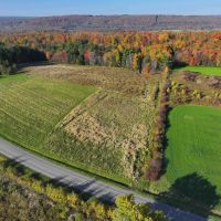 14 acre Building Lot and Recreational Land with Creek in Falconer NY Sprague Hill Rd Lot 6 images 5