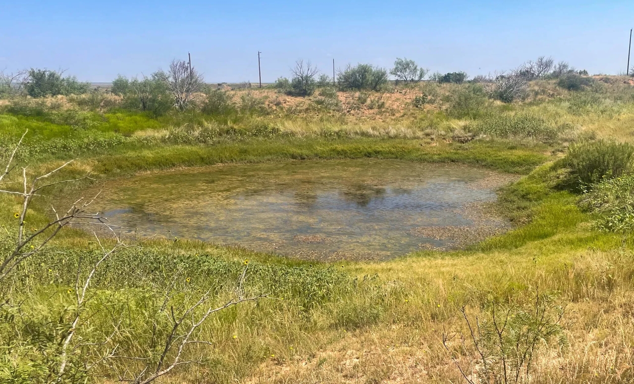 Carter Ranch Hunting Land for Sale