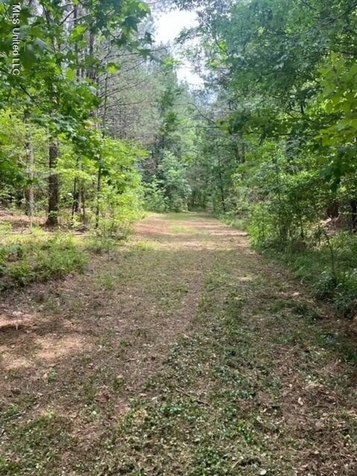 10 Acre Homesite in Hinds County featured image