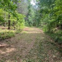 10 Acre Homesite in Hinds County