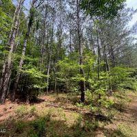 10 Acre Homesite in Hinds County images 4