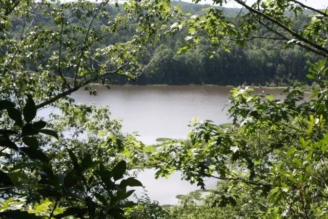 Bugs Lake East Merge Tract featured image