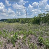 Bugs Lake East Merge Tract images 5