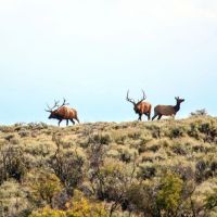 K Ranch images 2