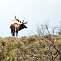 K Ranch images 3