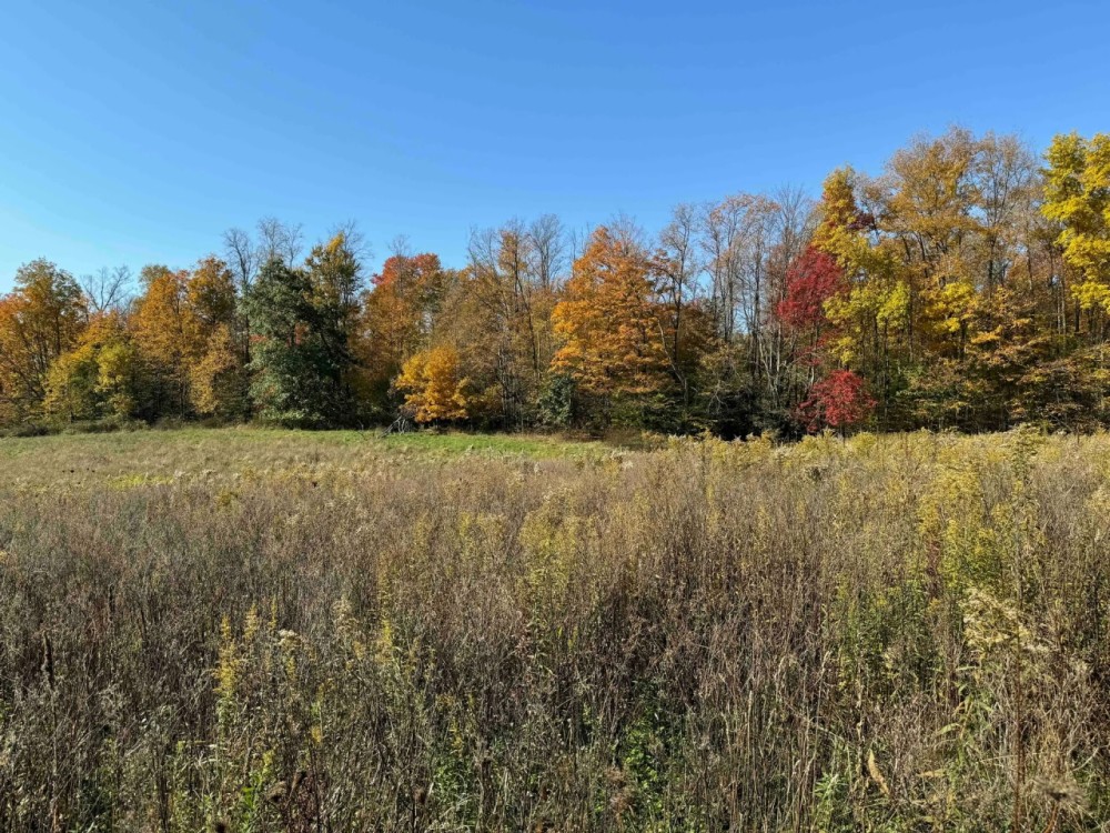 10.8 acre Building Lot and Recreational Land with Creek in Falconer NY Sprague Hill Rd Lot 5 featured image