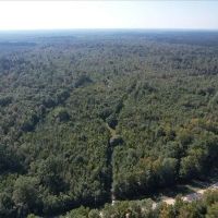 256 Acres in Caldwell Parish in Grayson LA