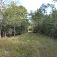 256 Acres in Caldwell Parish in Grayson LA images 2
