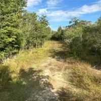 256 Acres in Caldwell Parish in Grayson LA images 3