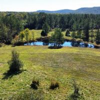 Buttahatchee River Retreat images 2
