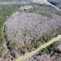Buttahatchee River Retreat images 4