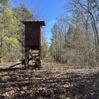 Buttahatchee River Retreat images 5