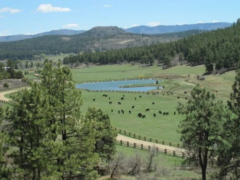Pine Ridge Ranch featured image