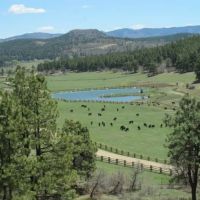 Pine Ridge Ranch images 1
