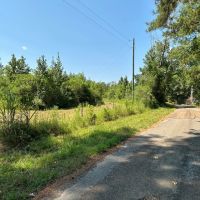 27.90 Acres in Amite County MS images 2