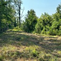 27.90 Acres in Amite County MS images 3