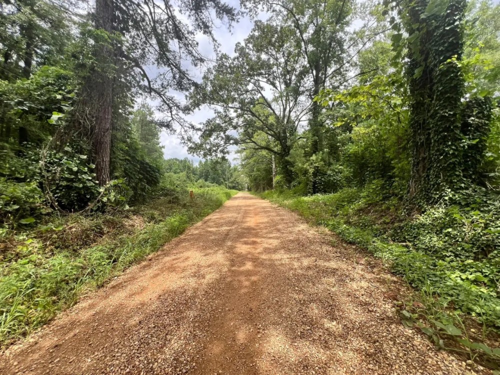 38 Acres in Kemper County MS featured image
