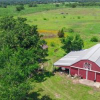 126 Acres in Lee County images 2