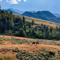 Antlers Ranch images 4