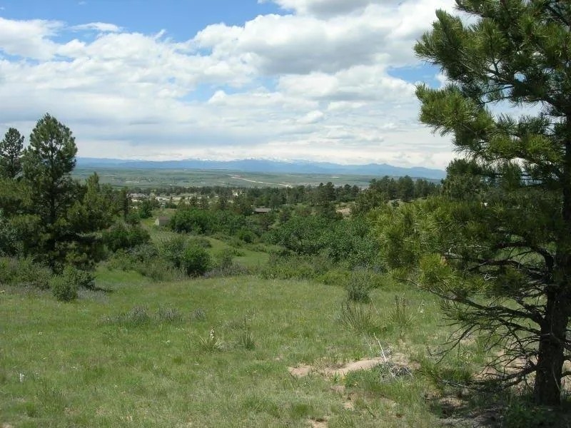 Whittlesey Ranch featured image