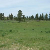 Whittlesey Ranch images 2