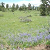 Whittlesey Ranch images 4