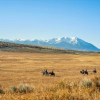 Three Meadows Ranch