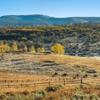Three Meadows Ranch images 4