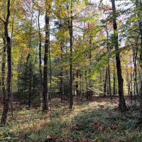 6 acres Recreational 4 Season Land Colton NY