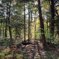 6 acres Recreational 4 Season Land Colton NY images 2