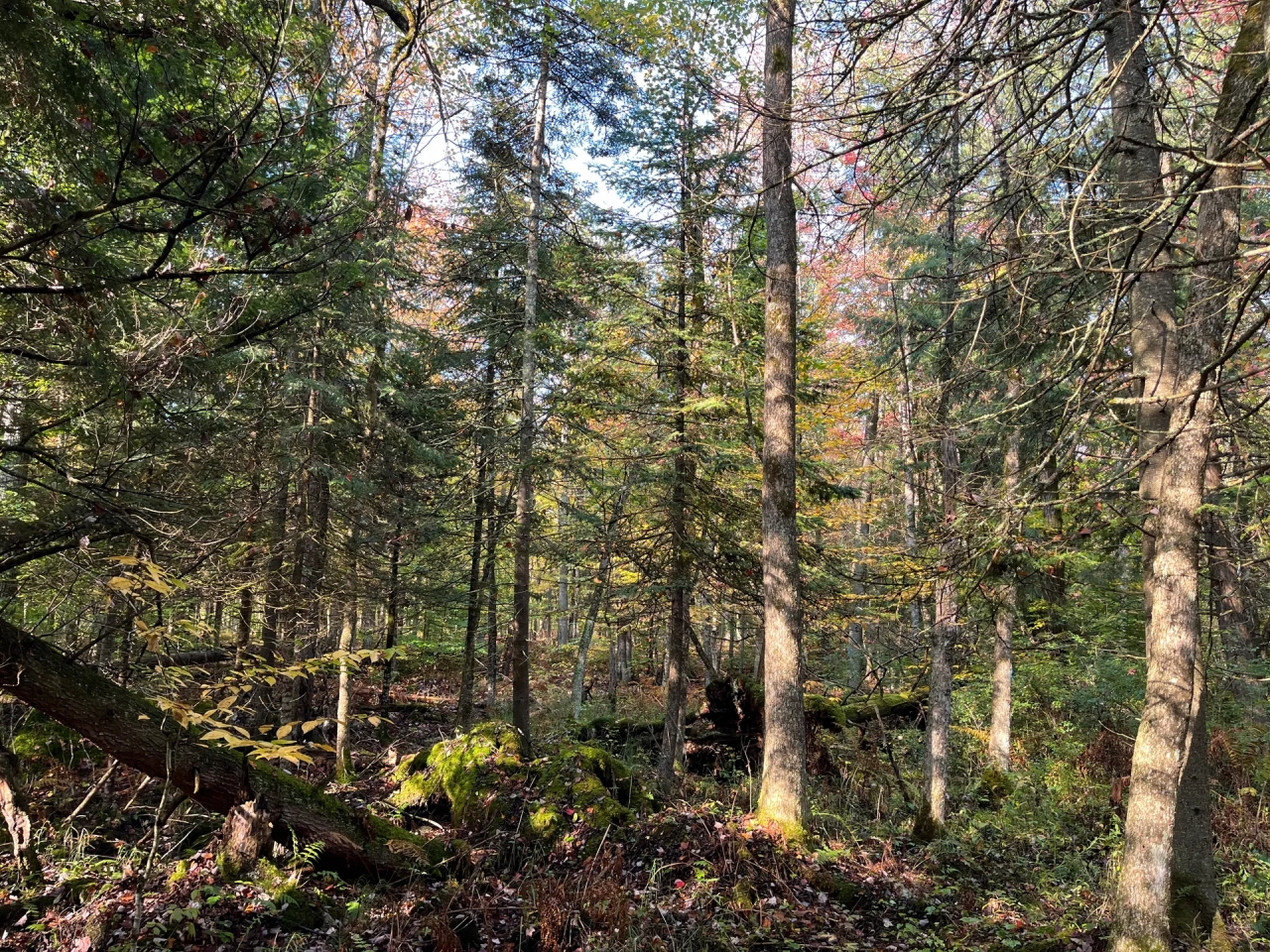 6 acres Recreational 4 Season Land Colton NY Hunting Land for Sale