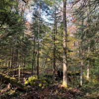 6 acres Recreational 4 Season Land Colton NY images 3