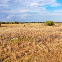 Miller East Ranch images 2