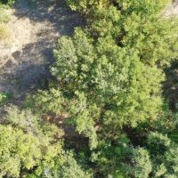 46.08 Acres FM 2945 Cisco TX 76437 images 3