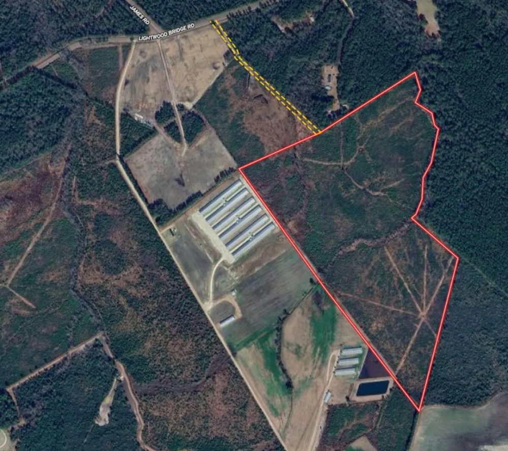 90 - Acres of Recreational Land For Sale in Duplin County NC featured image