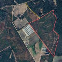 90 - Acres of Recreational Land For Sale in Duplin County NC