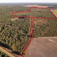 90 - Acres of Recreational Land For Sale in Duplin County NC images 2