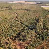 90 - Acres of Recreational Land For Sale in Duplin County NC images 3