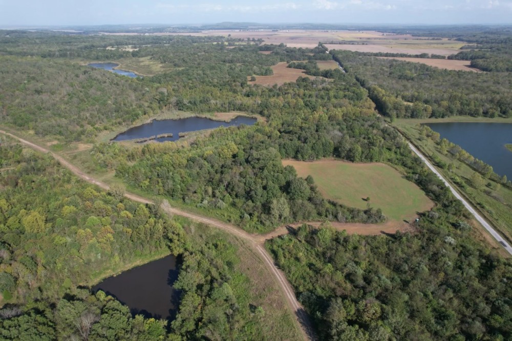 Trophy Deer Hunting Property in Gallatin County IL featured image