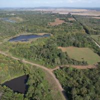 Trophy Deer Hunting Property in Gallatin County IL
