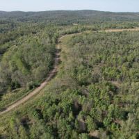 Trophy Deer Hunting Property in Gallatin County IL images 4
