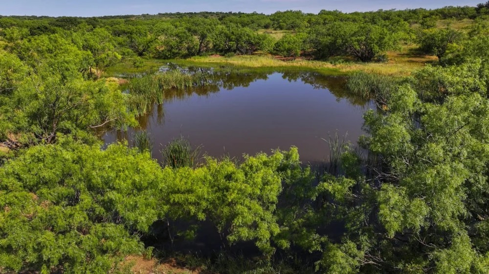 Plum Creek Hideout featured image
