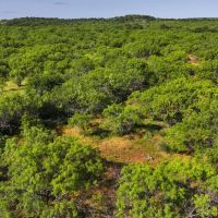 Plum Creek Hideout images 2