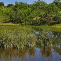 Plum Creek Hideout images 3